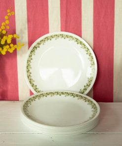9 assiettes Corelle USA décor fleurs vertes