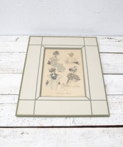 Gravure de mode au concours hippique